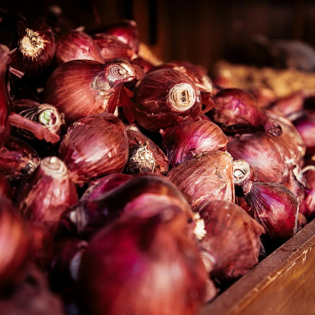 Coût de la vie en Jordanie (Amman) pour une famille en 2026