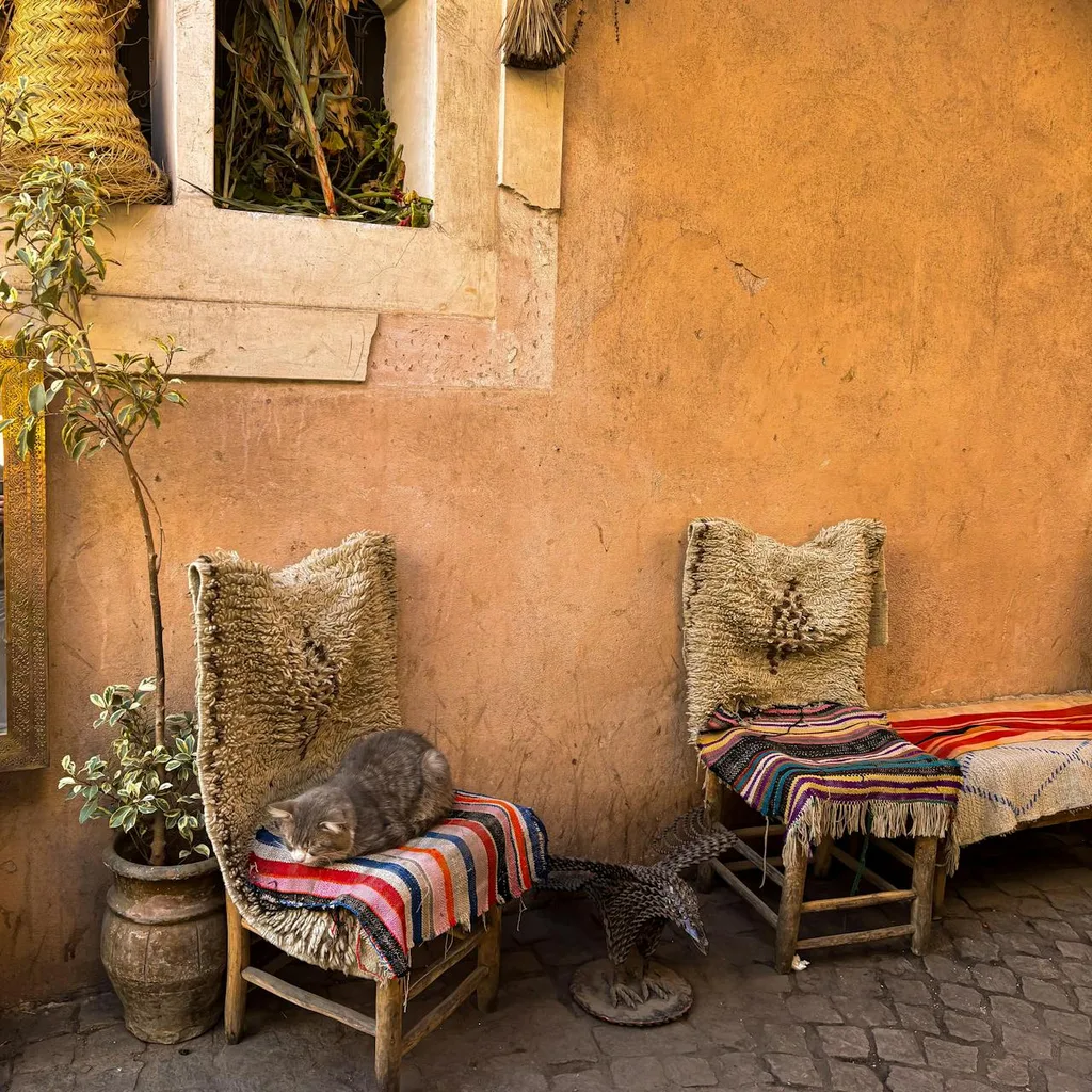 Vivre au Maroc en famille musulmane : guide complet 2026